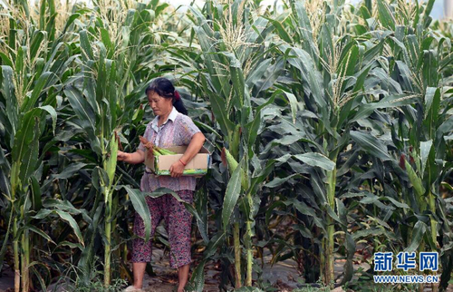 201507091431530c52c_500