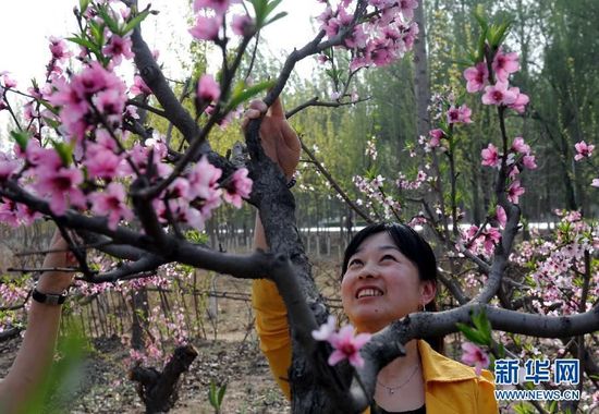 20140410094734f364f_550