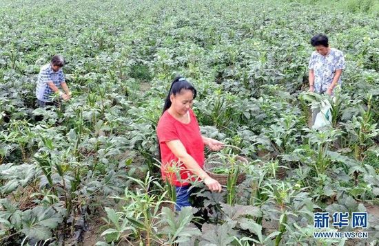 2014081410204485e46_550