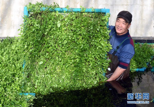 2015121210112792085_500