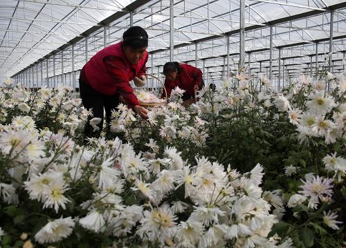 40050e90-c6e3-43e8-8b59-3931e6c8cdd1