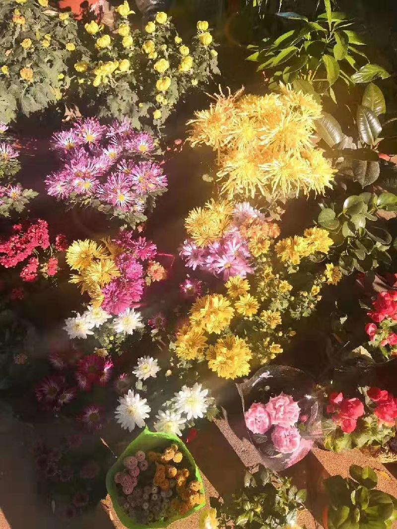 mmexport1571309815064