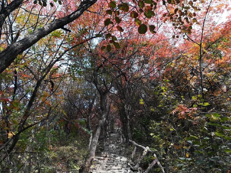 mmexport1571309604548