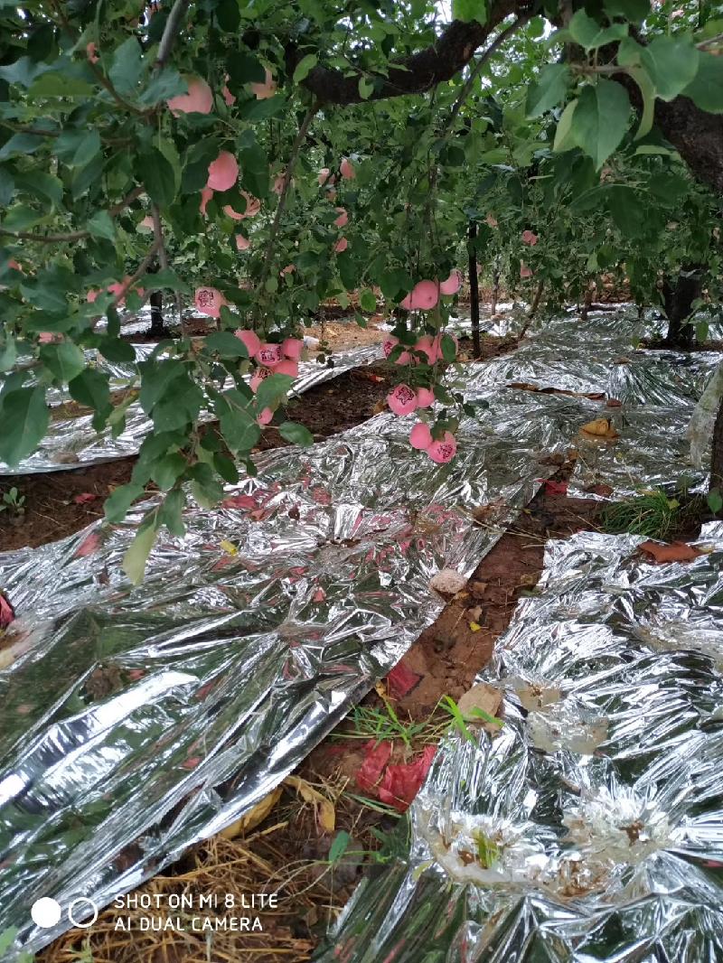 mmexport1571286522344