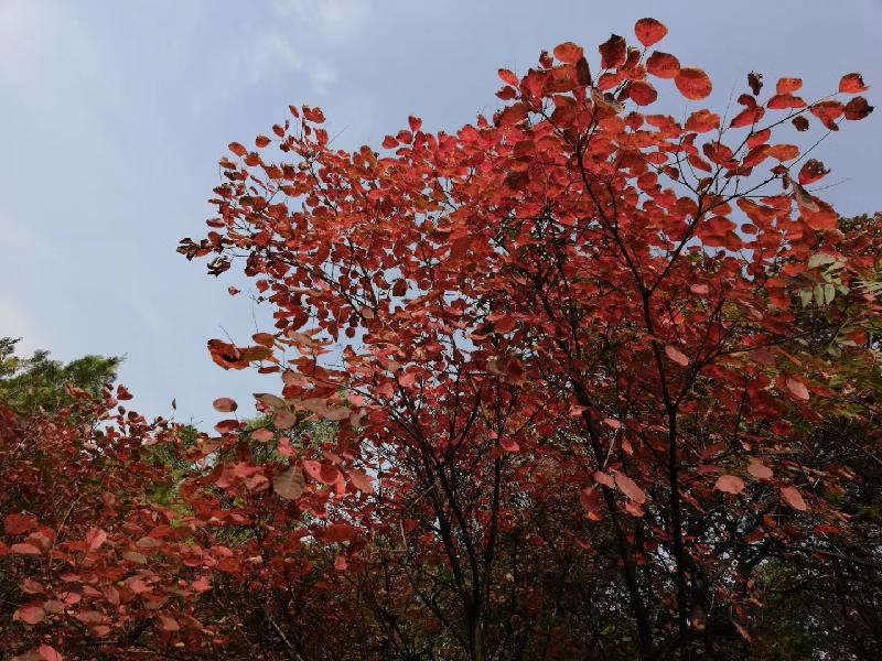 mmexport1571309561581