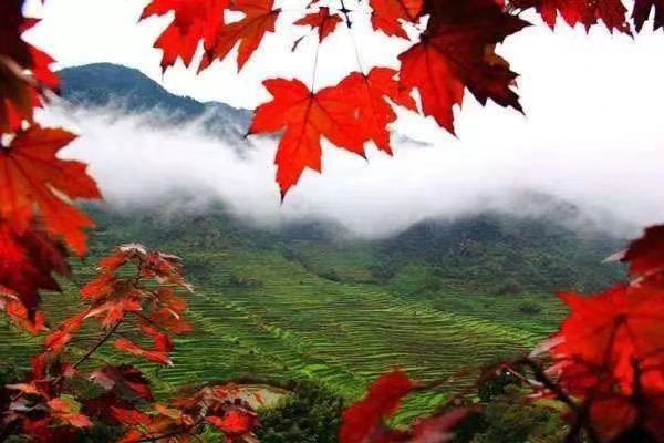 mmexport1571092701928