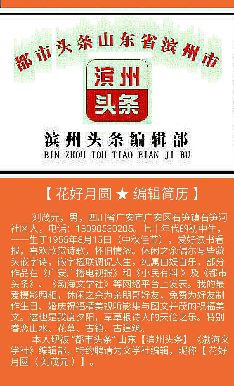 S91012-065528(1)(1)(1)(1)(1)(2)(1)(2)