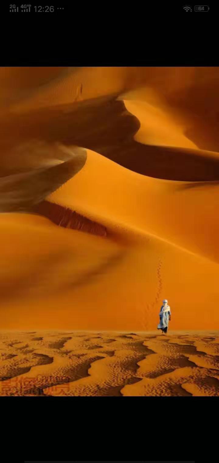 大漠孤影 文/胡本全