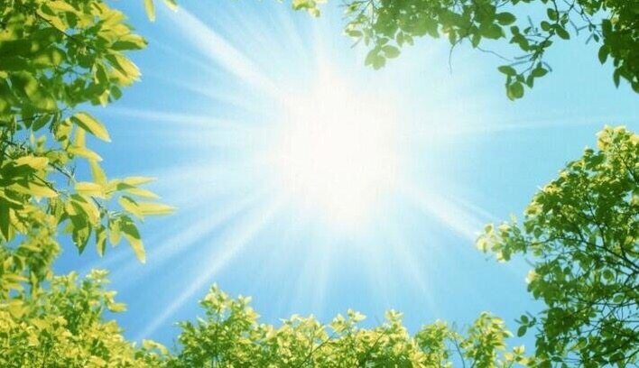 8C1E1A9B-7A1D-4B32-A660-717288D5FA06