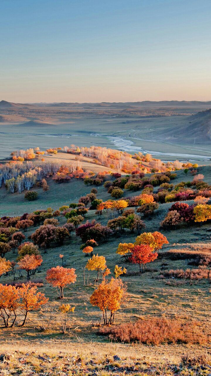 12F13C54-E93D-4DA1-AC58-845AF9876F93