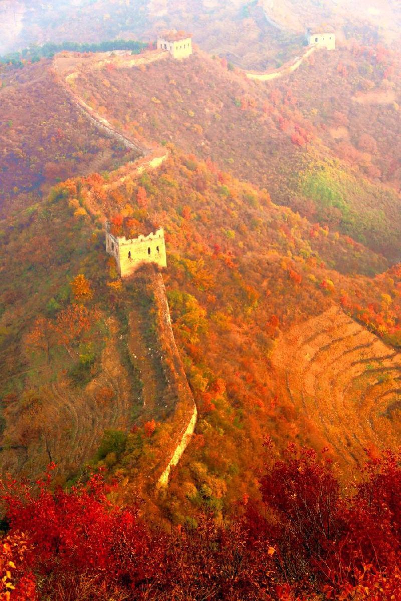 79487F9F-F170-486C-833E-8B92339244CB