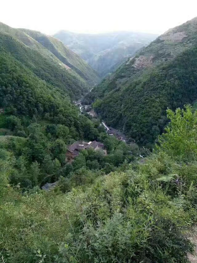 mmexport1572269329319