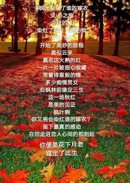 1572127213150