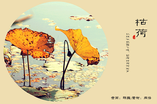 秋荷 吉林/人梯 萧风瑟瑟送寒霜 残梗败叶满荷塘 昔日粉腮全褪尽 谁解