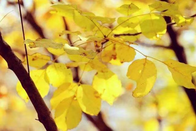 mmexport1572607510263