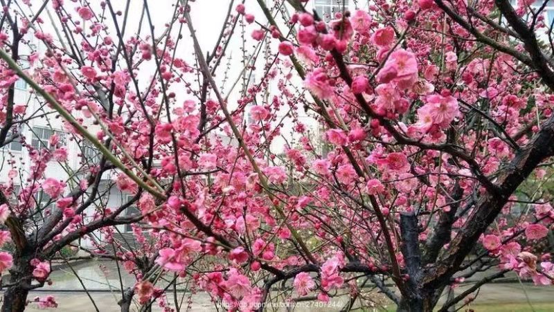 mmexport1572607495741