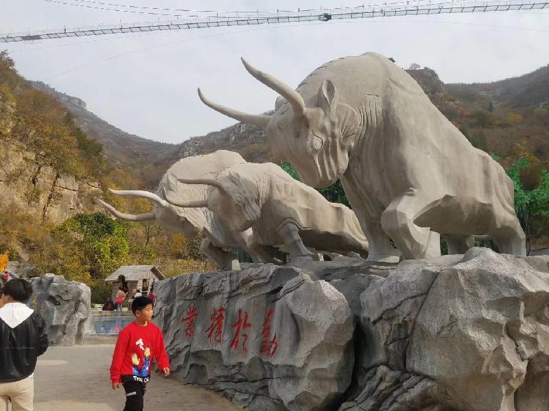 mmexport1572668923300