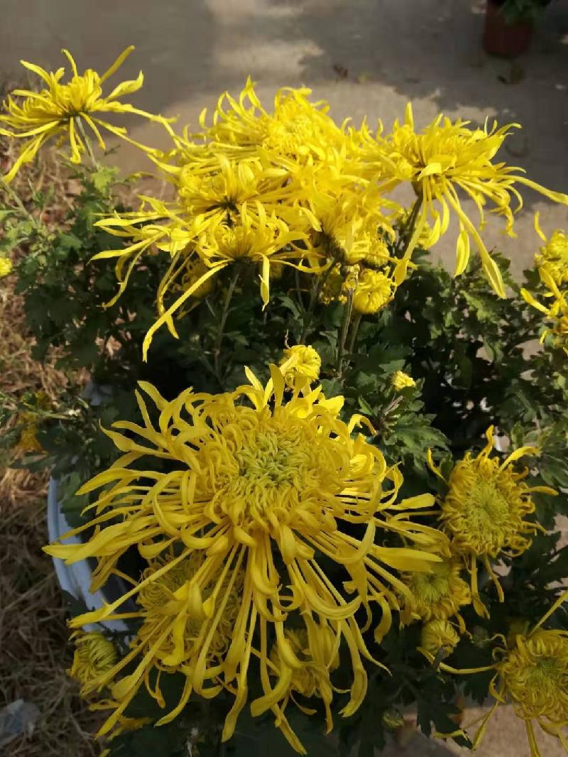 mmexport1572701381671