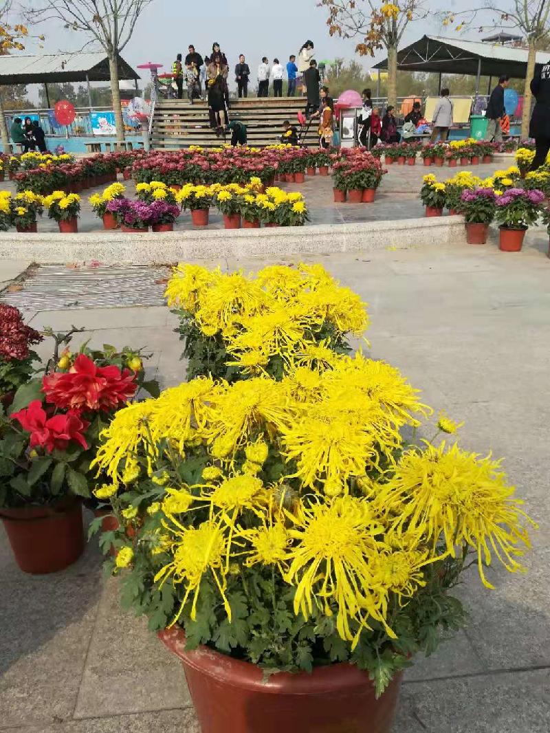 mmexport1572701377264