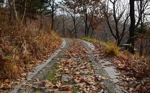 mmexport1572669269698