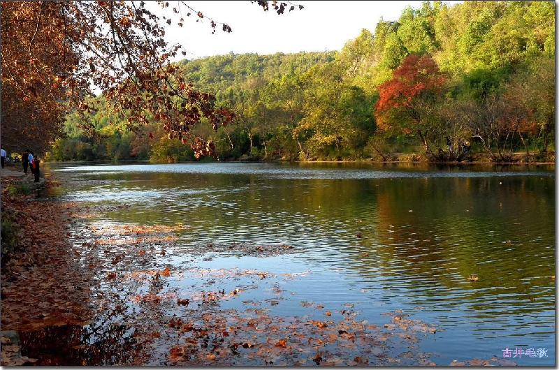 mmexport1572669227632