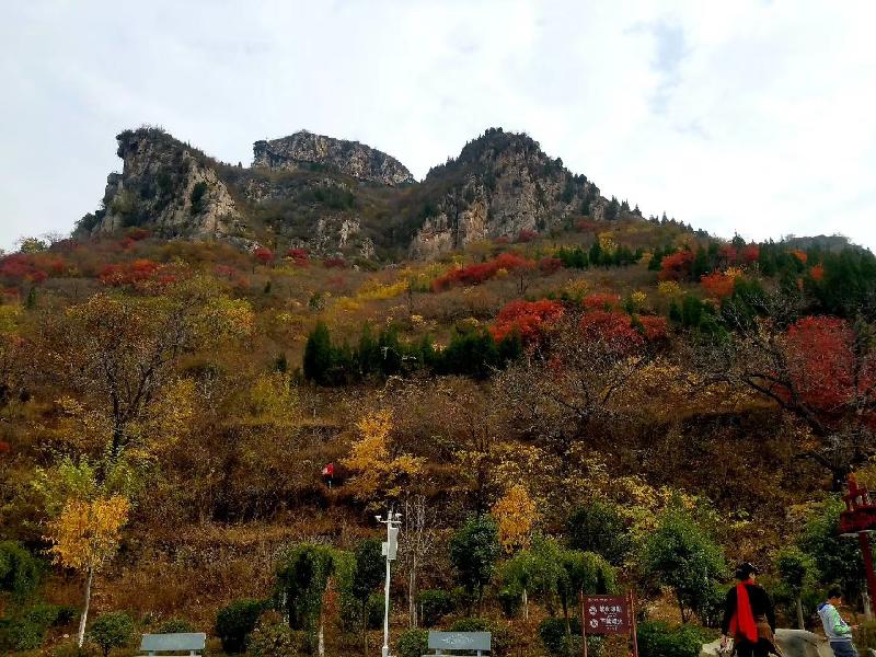 mmexport1572697125453