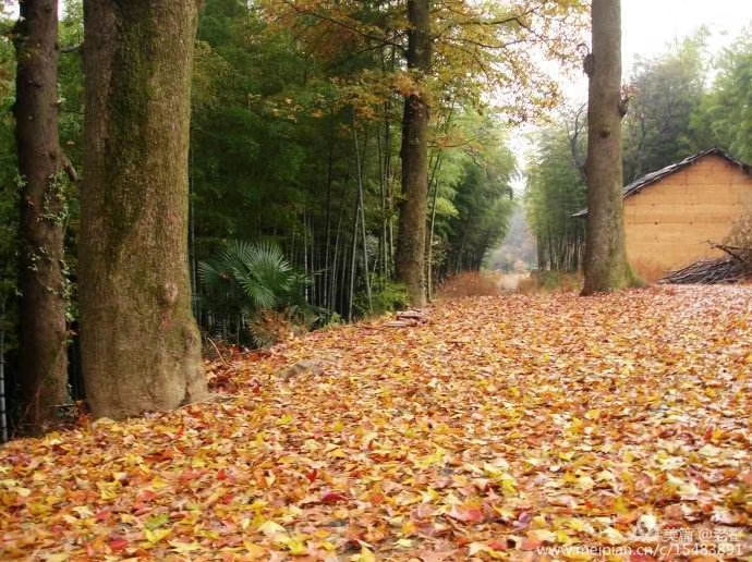 mmexport1571769777996