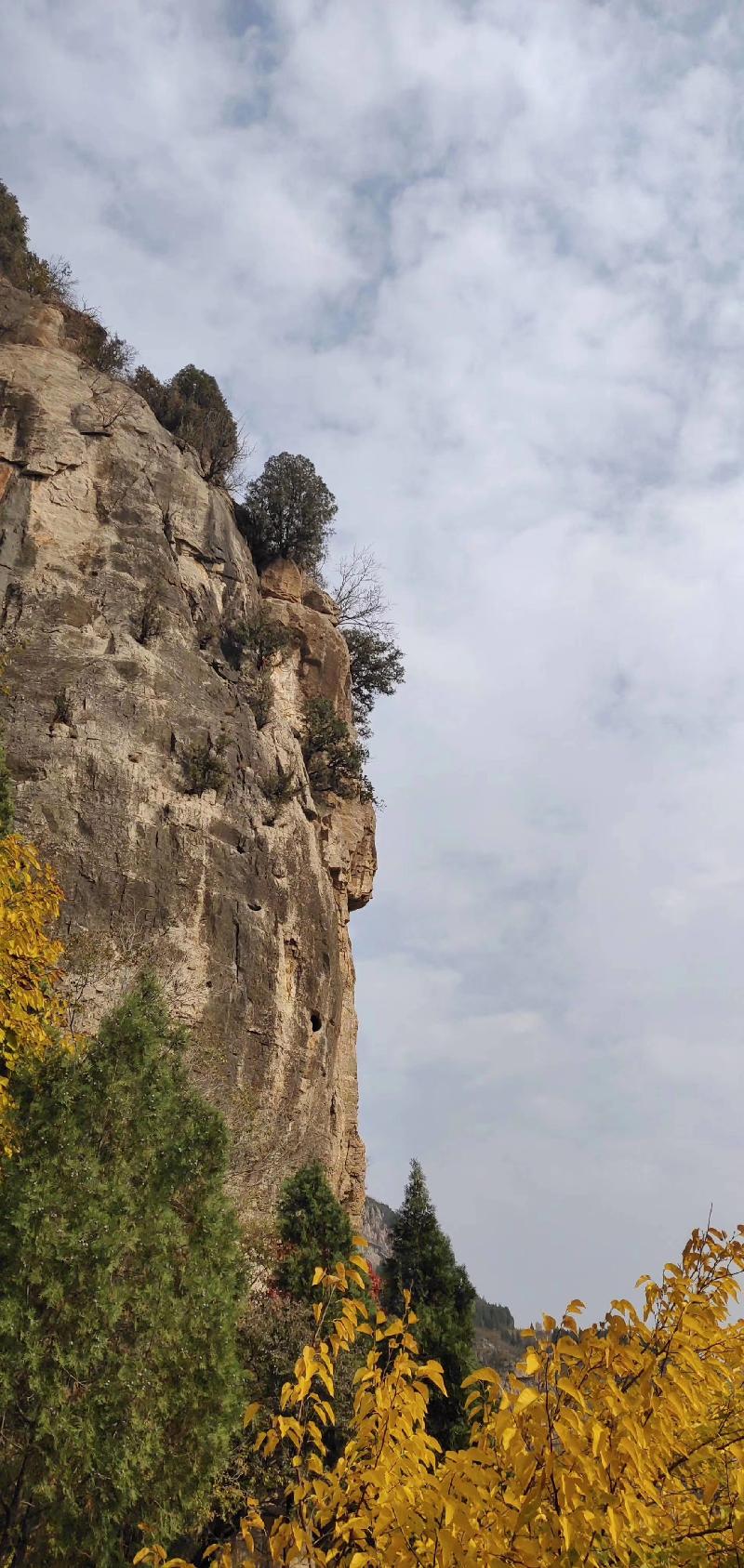 mmexport1572697119808