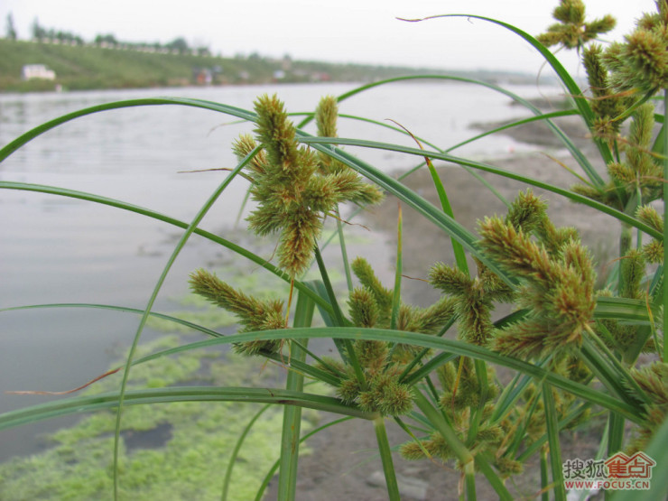 8fa895aaecebe008942f360b9fd67beb