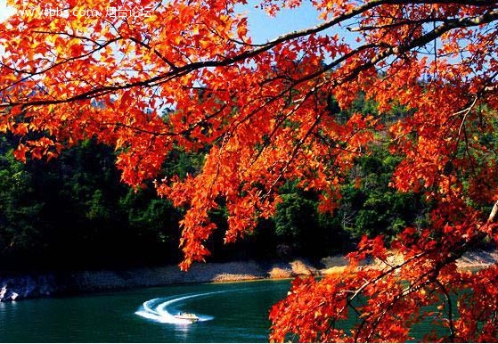 12253044zab4hregzddizz