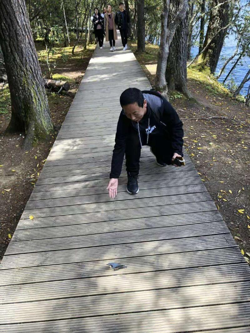 mmexport1572873688089