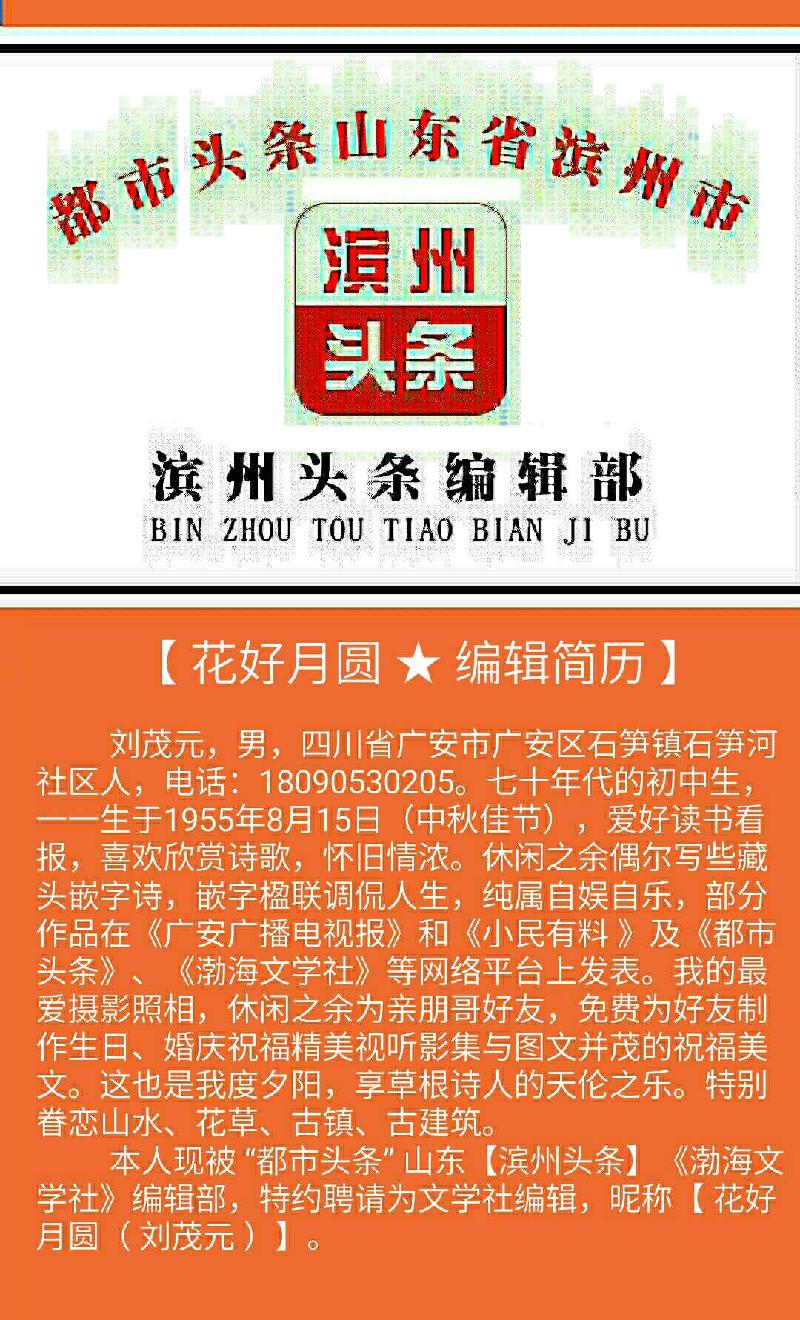 S91012-065528(1)(1)(1)(1)(1)(2)(1)(2)_comps