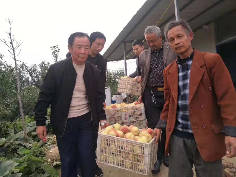 mmexport1573277168953