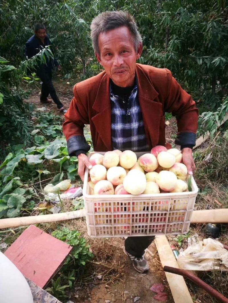 mmexport1573277164996