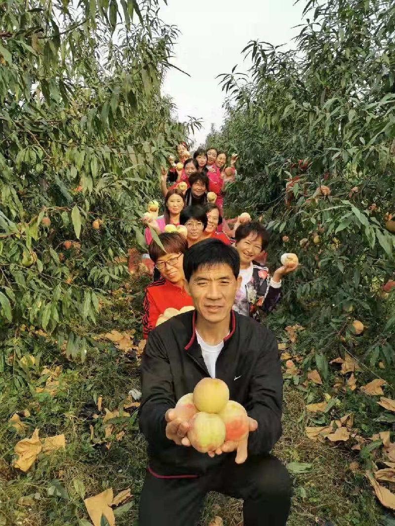 mmexport1573277543204