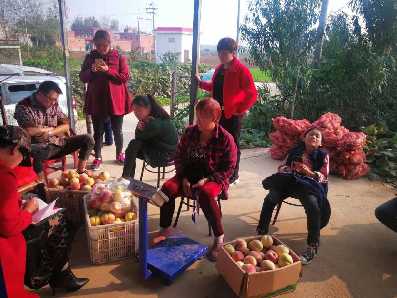 mmexport1573296507911