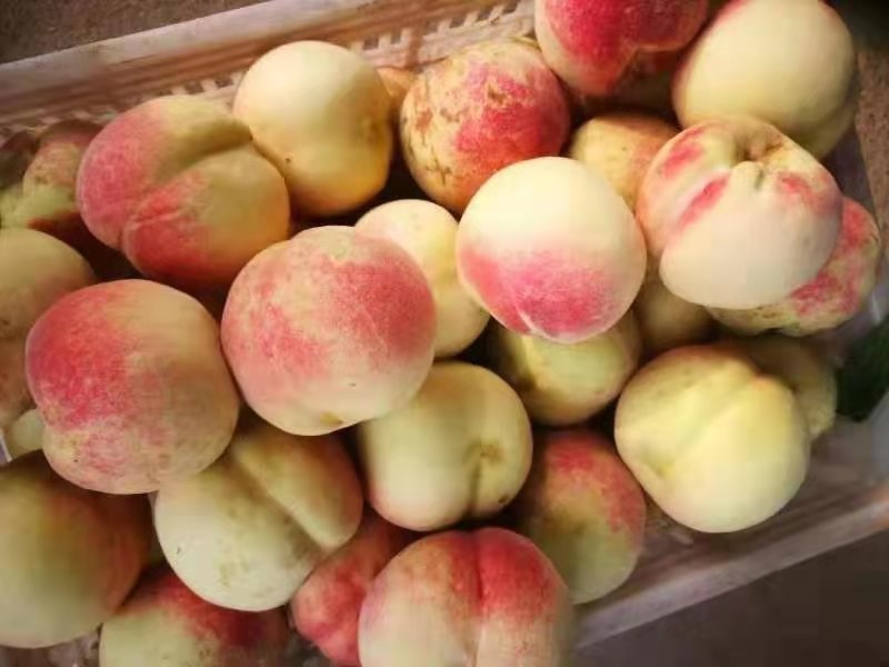 mmexport1573277270158