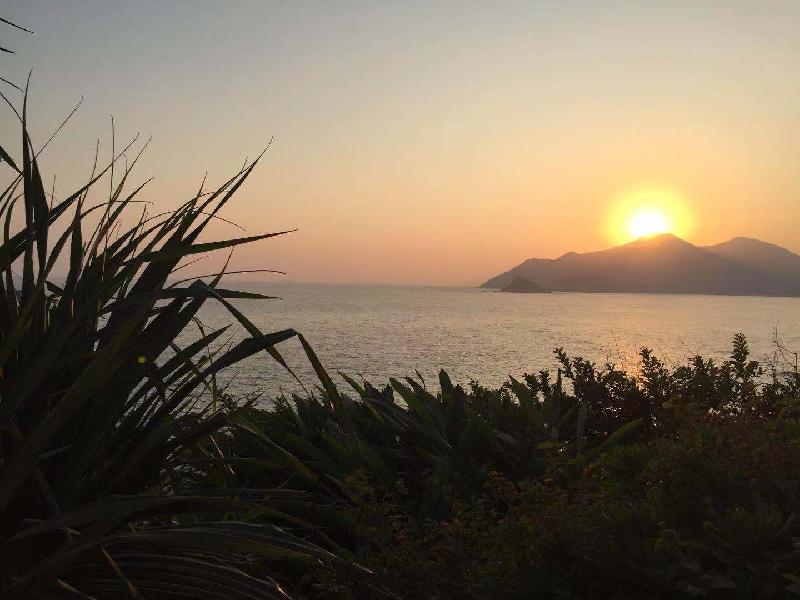 mmexport1573387272378