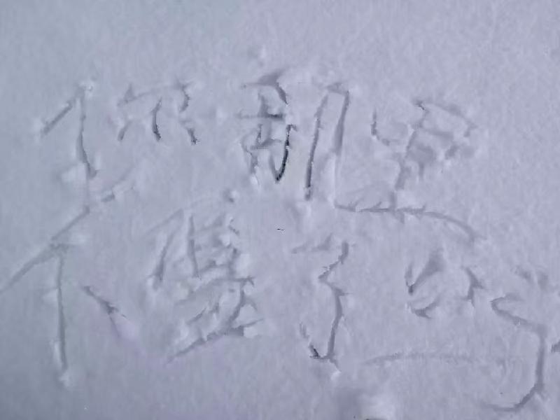 1572620749014