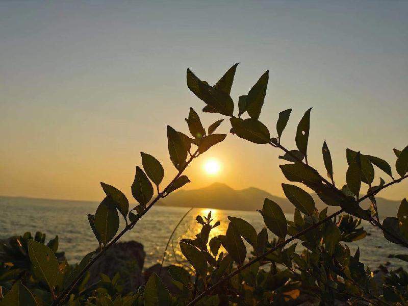 mmexport1573401408035