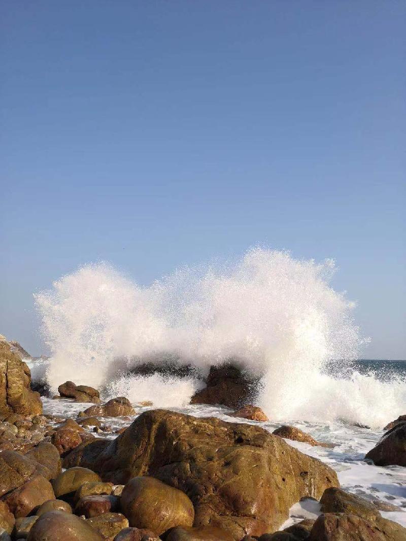 mmexport1573401424353