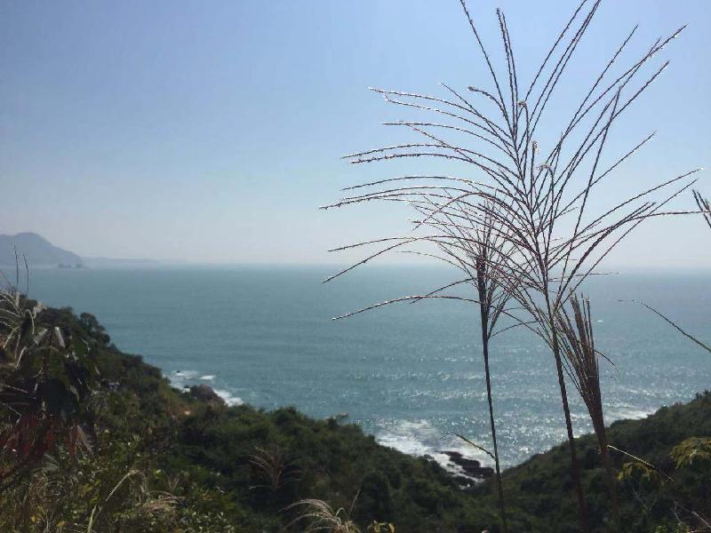 mmexport1573401415955