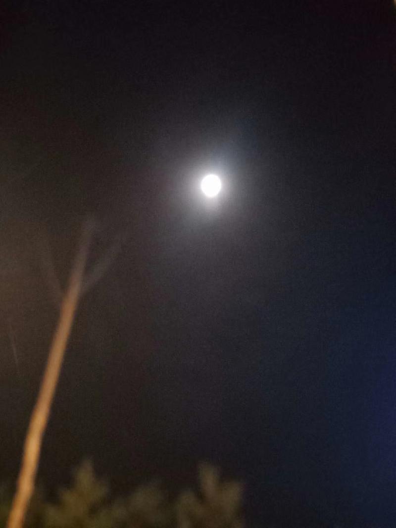 mmexport1573478283180