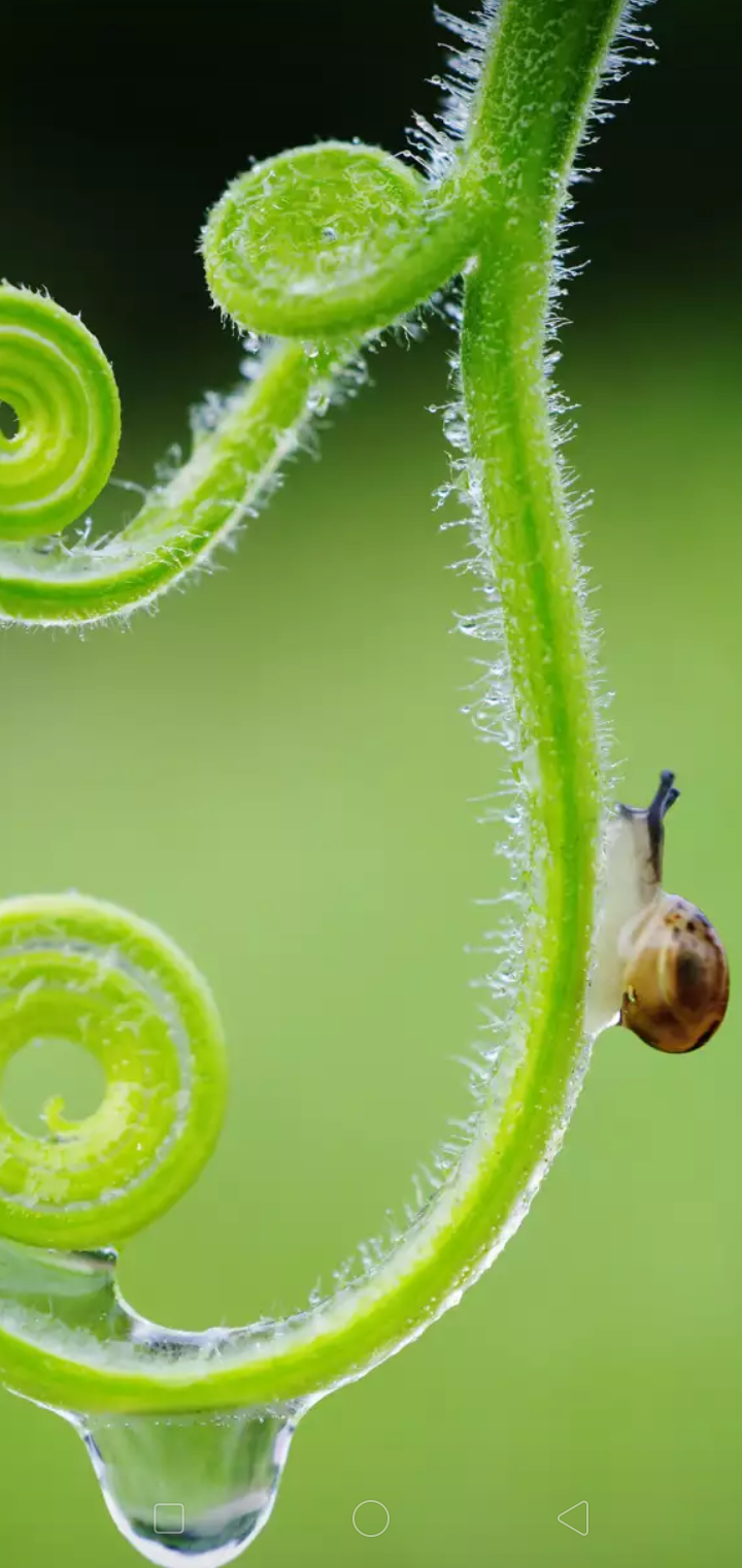 Screenshot_2019-11-17-17-48-29-12