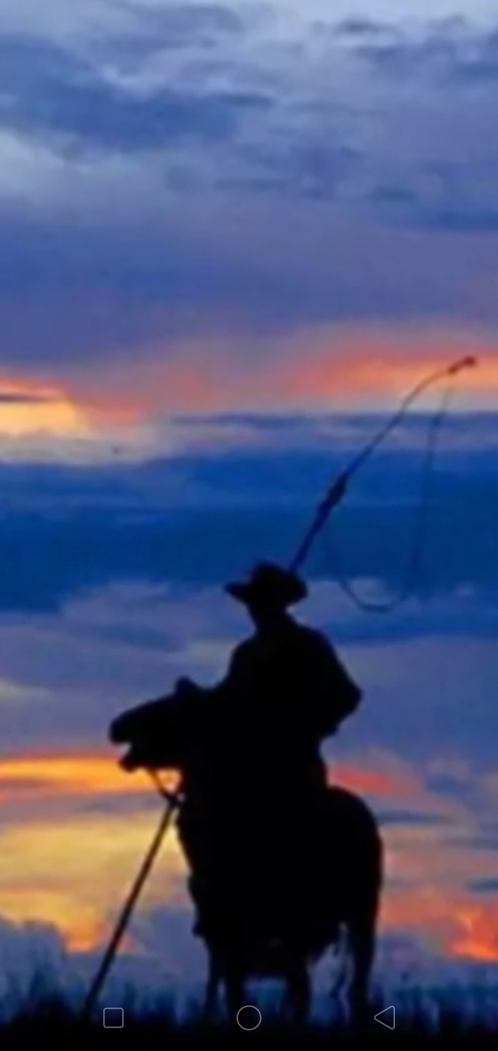 Screenshot_2019-11-11-12-38-22-04