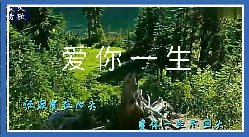 S91121-202222(1)(1)(1)(1)