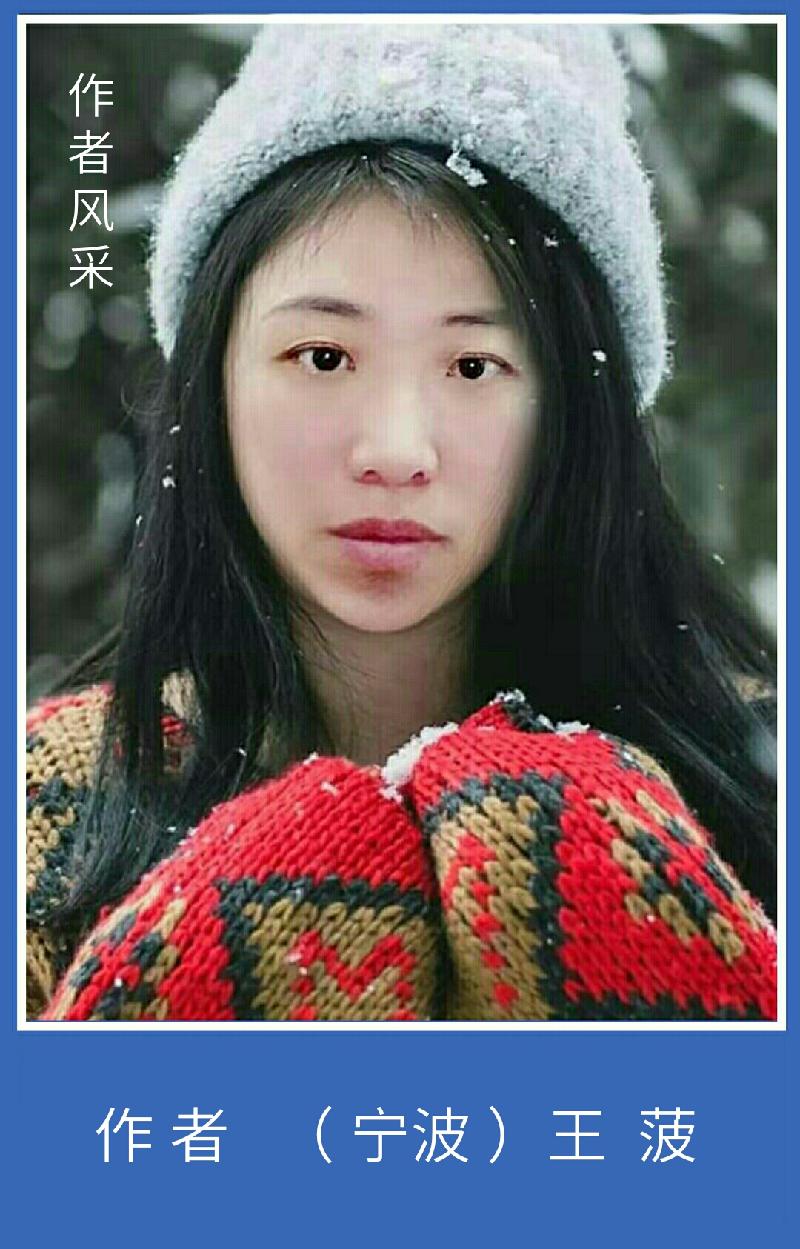 S91121-202712(1)(1)(1)