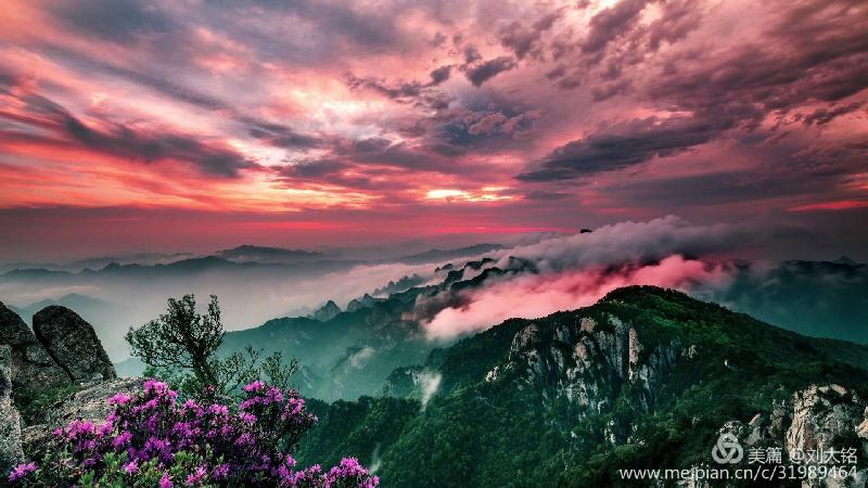 76a74f6ec7464f30a9b3d62a7ead3fca