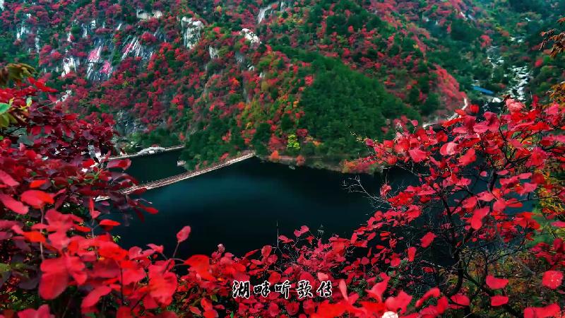 Screenshot_20190501-210239