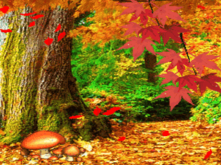 mmexport1574242517327